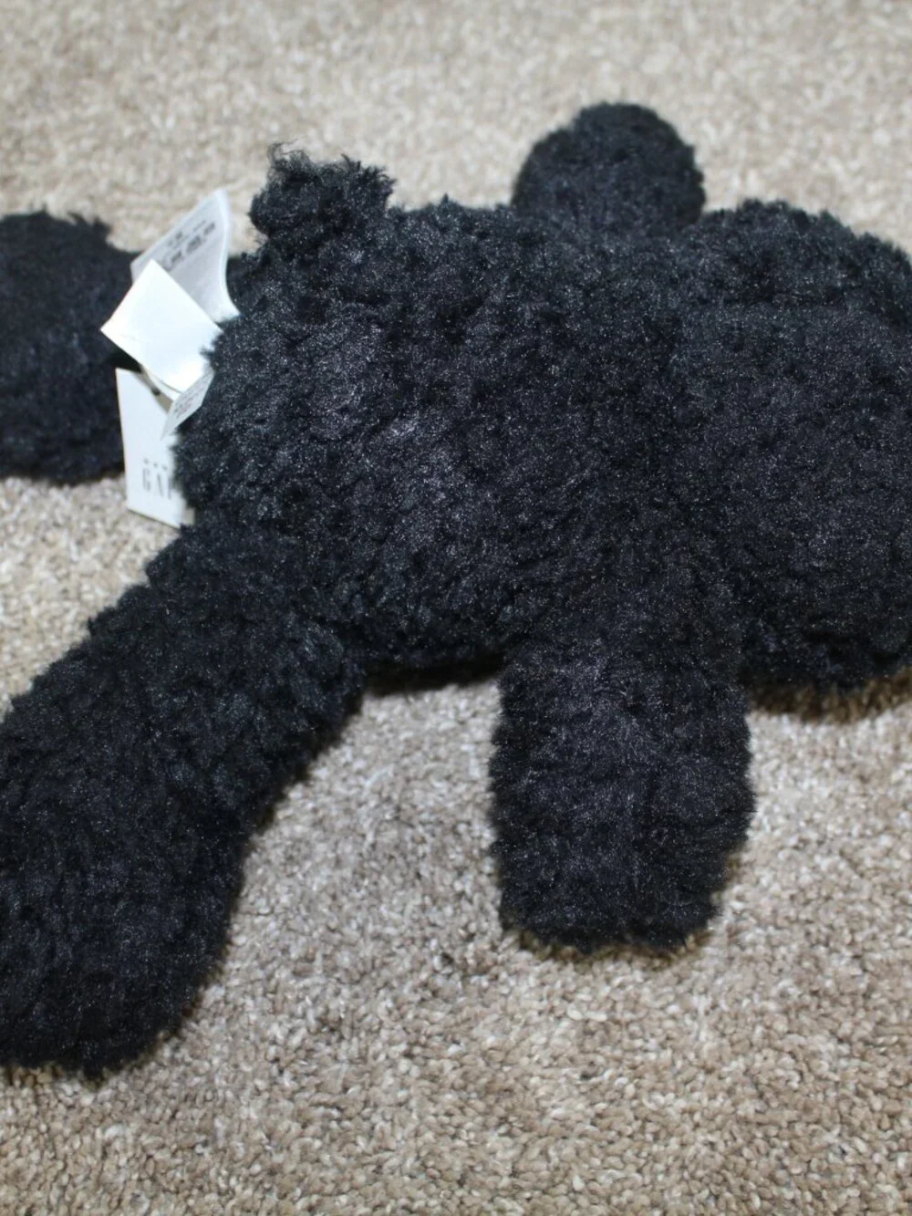 baby GAP Brannan Black Teddy Bear Plush Stuffed Animal Infant 11